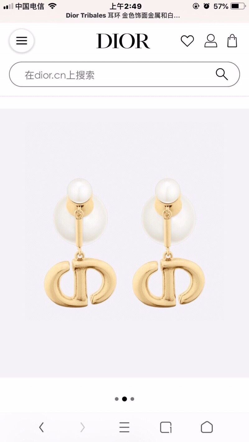 Christian Dior Earrings